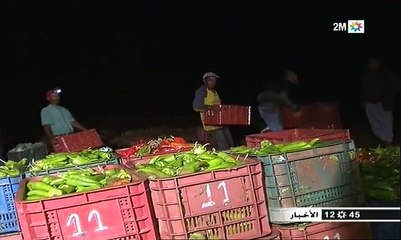 سيول وادي بوشان نواحي مراكش تقتل طفلا يبلغ 9 سنوات بالإضافة إلى خسائر مادية أخرى