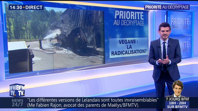 Vegans: Pourquoi la radicalisation ?