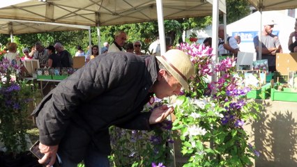 Châbons : quand les plantes envahissent le château de Pupetières