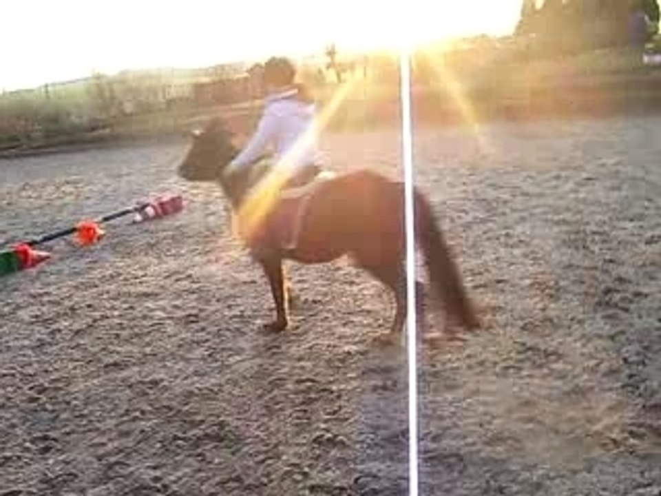 Moulii et Tys