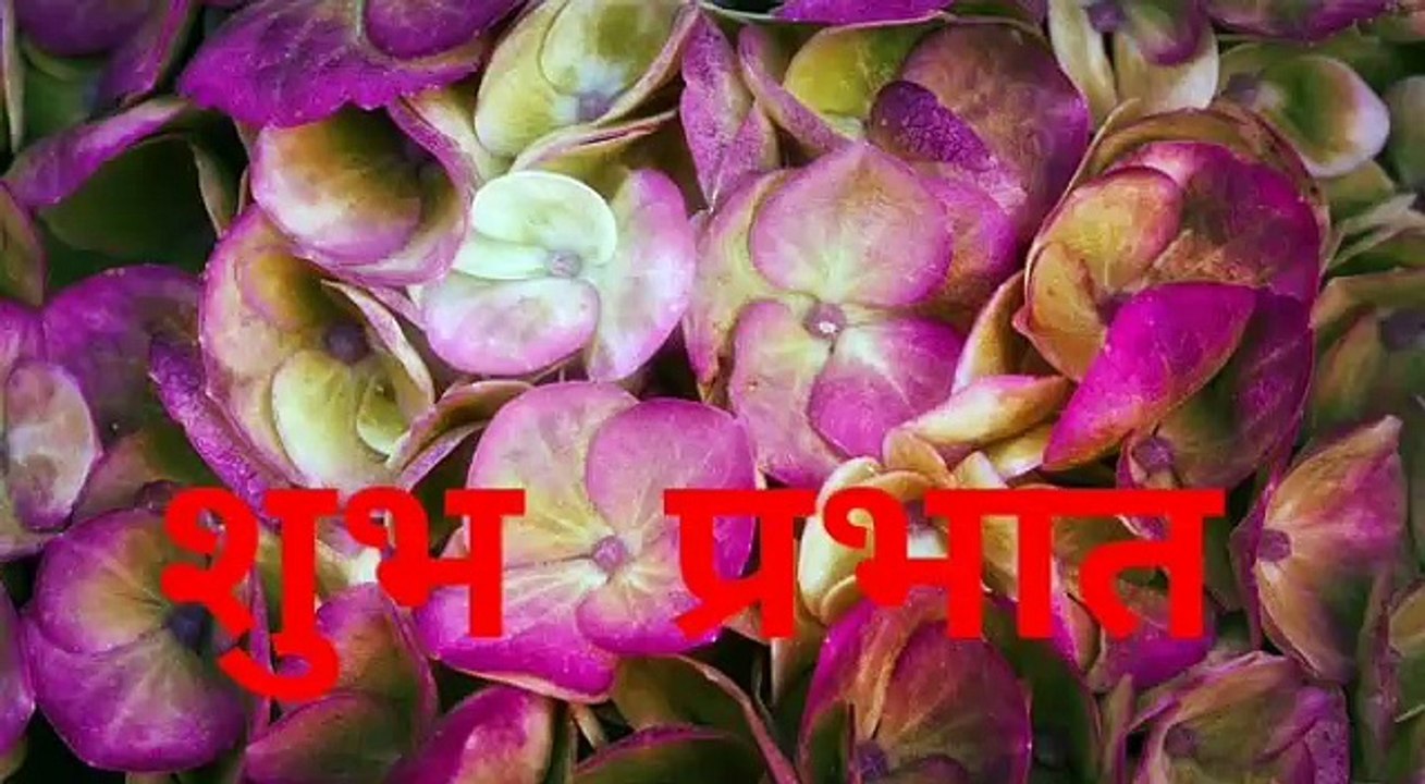 সুপ্রভাত Whatsapp Bengali Good Morning Message .... Greetings... Quotes... Images #