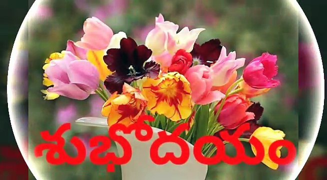 శుభోదయం WhatsappWhats Telugu Good Morning Message .... Greetings... Quotes... Images 1