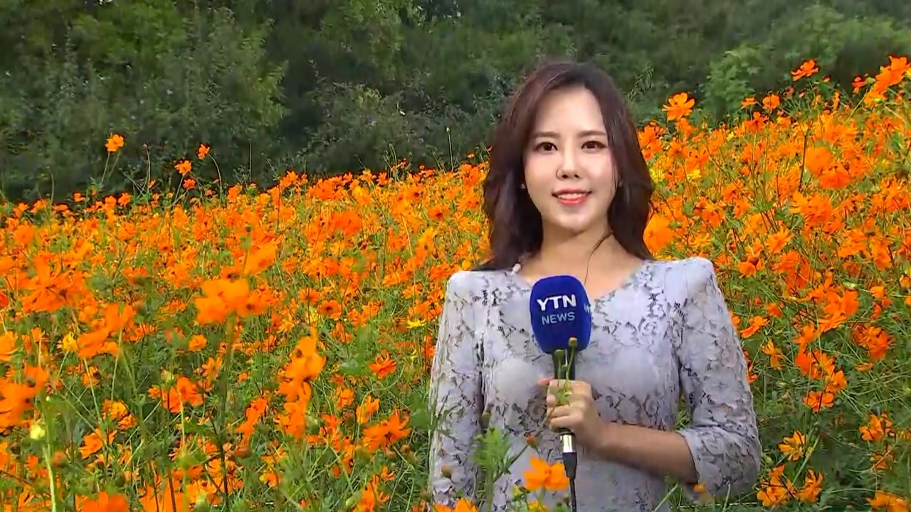 [날씨] 내륙은 서늘한 가을...남해 태풍 영향 / YTN
