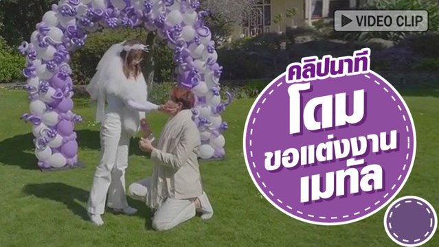 ย้อนชมคลิปนาที โดม ขอแต่งงาน เมทัล