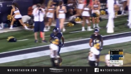 Arkansas-Pine Bluff vs FIU Football Highlights (2018)