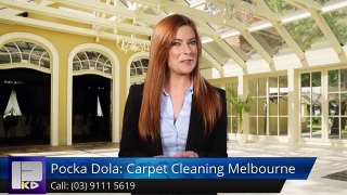 Pocka Dola: Carpet Cleaning Melbourne Ripponlea Terrific Five Star Review by Nick Jumara