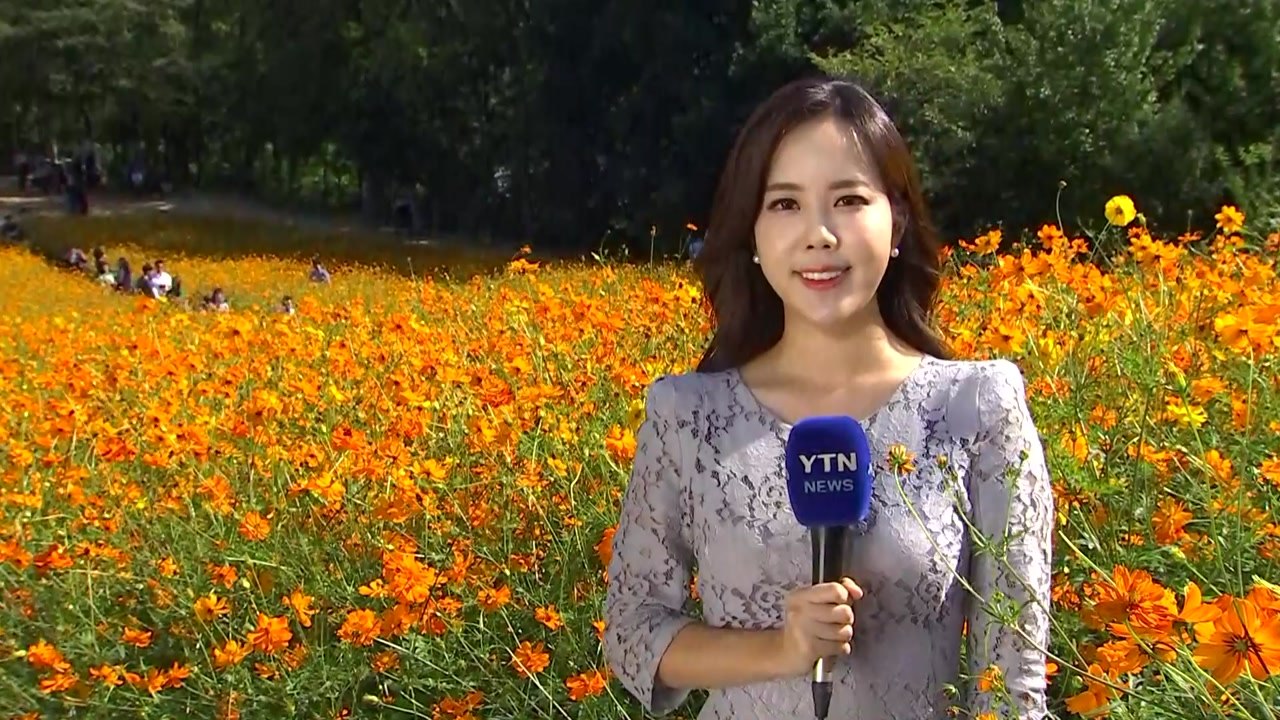 [날씨] 찬 바람 불며 선선한 가을...내일은 쌀쌀 / YTN