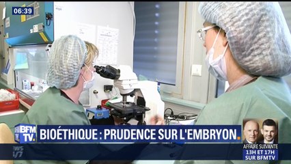 Bioéthique: prudence sur l'embryon