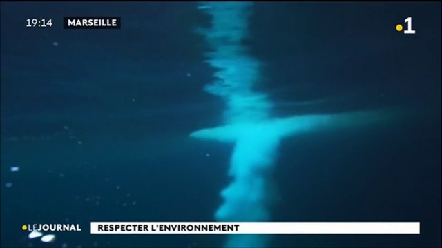 La Nage Inspirante , où nager pour préserver l'environnement