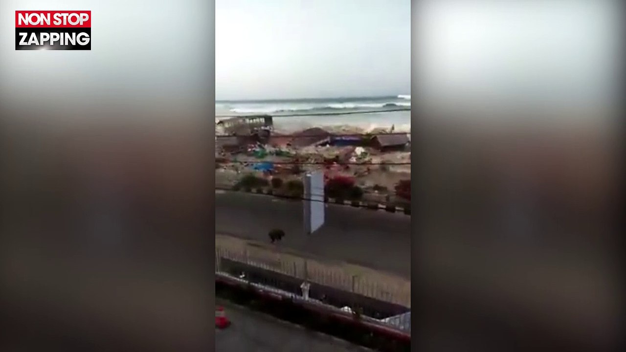 Tsunami en Indonésie : Les terrifiantes images des vagues géantes sur l'île de Célèbes (Vidéo)