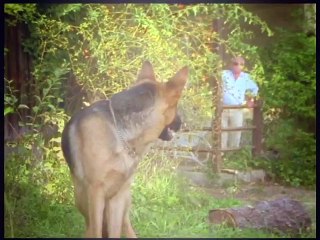 Rex, chien flic S02E04 FRENCH