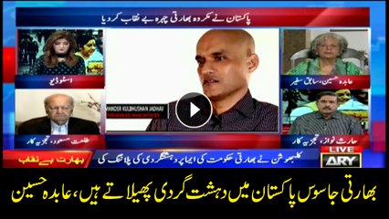India supports terrorists against Pakistan, Abida Hussain