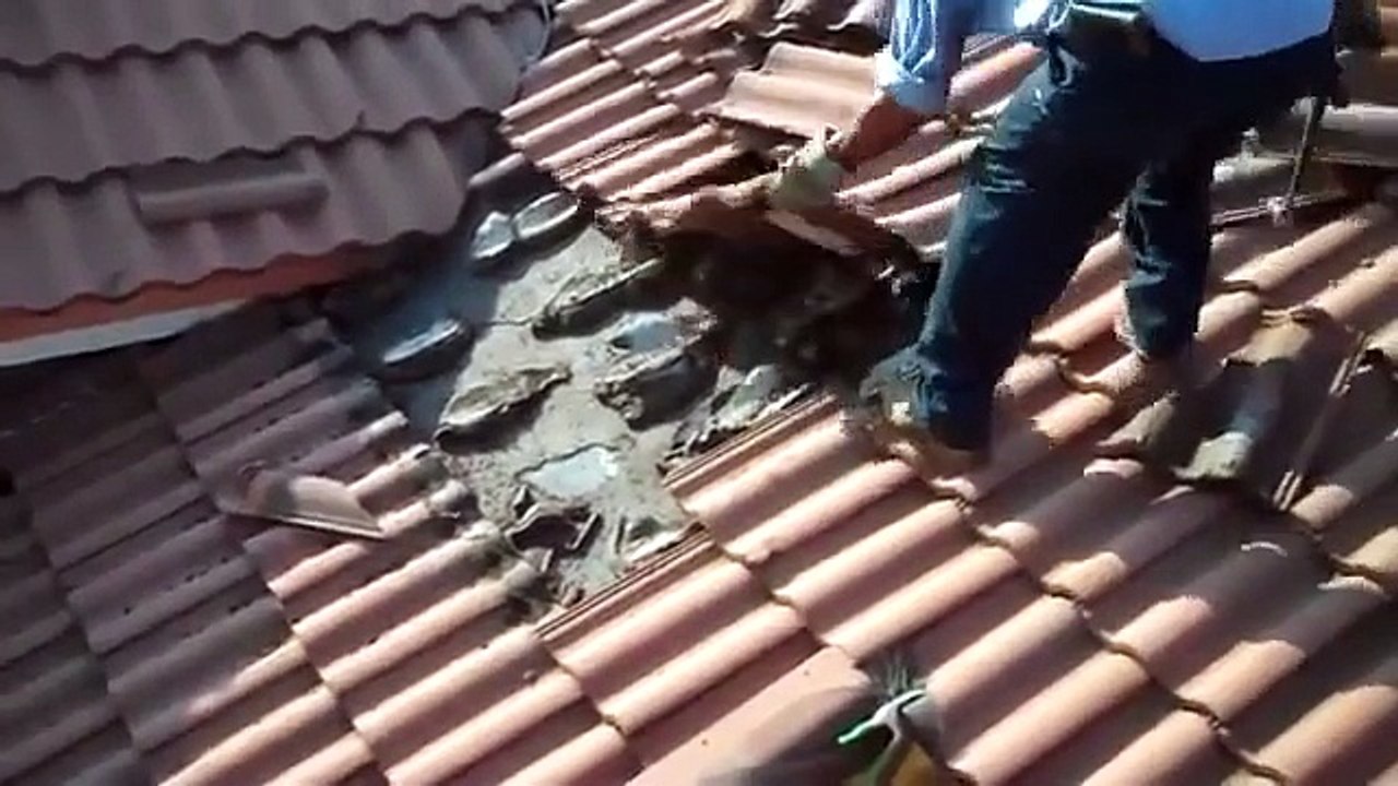 Ce qu'il va découvrir sous les tuiles de son toit est impressionnant