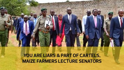 You are liars and part of cartels, maize farmers lecture senators
