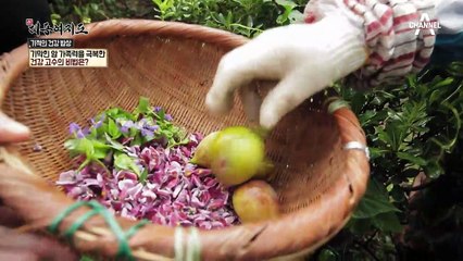 두 가지 암을 극복한 건강고수만의 비밀 정원