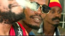 South Africans highly divided over relaxed cannabis laws
