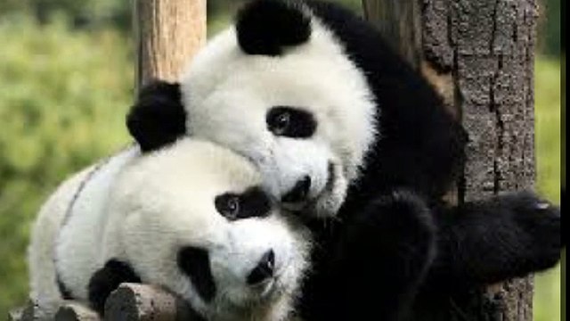 대전출장안마 010s7326s7786신용후불제 아가씨만남후 결제 대전출장마사지 최고미녀대기중 마인드최고 교육철저 대전출장맛사지 내상절대불가 수질최한 안전한신용후불제 20대아가씨대기중 극한수위 특별한서비스