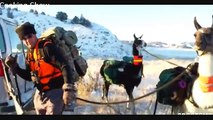 MeatEater - S01E05 - Brotherhood Badlands and Pack (Llamas Montana Mule Deer)