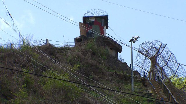 비무장지대, DMZ 접경 생물권 보전지역 추진 / YTN