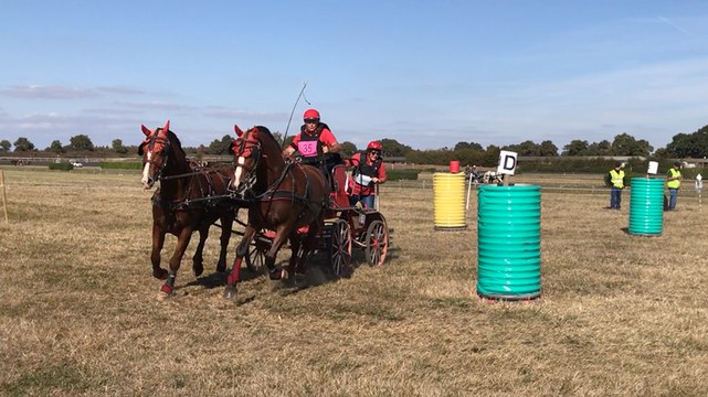 Concours national dl’attelage
