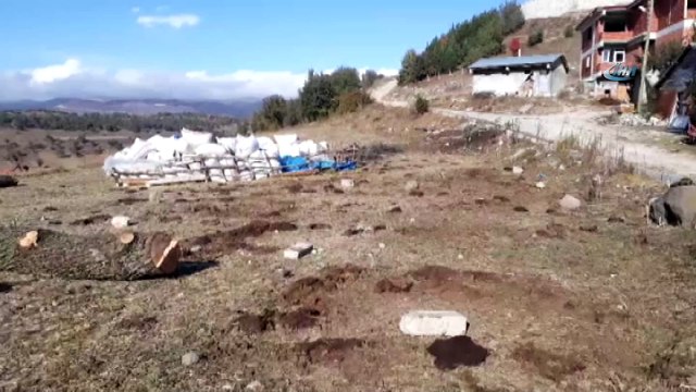 - Tokat'ta 120 bin liralık büyükbaş hayvan hırsızlığı