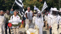 Manifestation d’apiculteurs