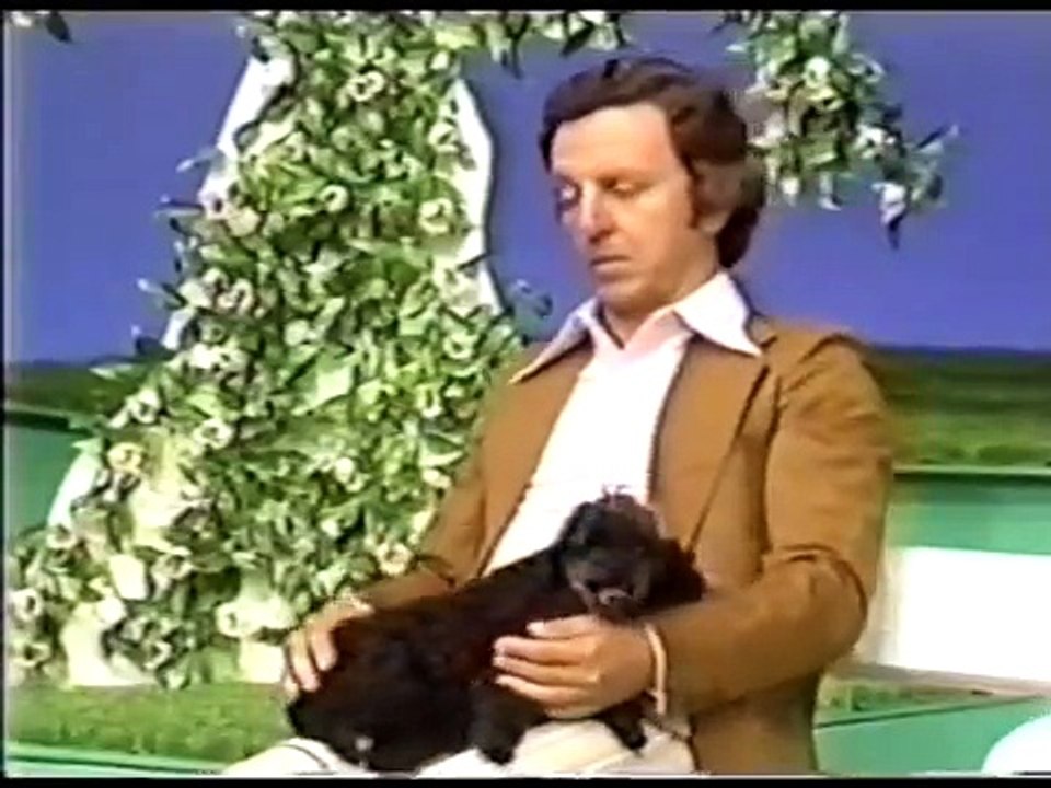 Didi e o caranguejo