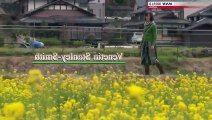 At Home With Venetia In Kyoto S01E22 The 20th Spring