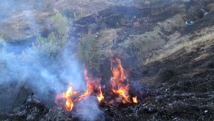 - Yangını ormana sıçramadan gazeteciler söndürdü