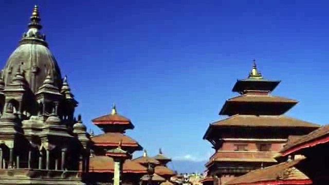 LUẬT NHÂN QUẢ CHẲNG BAO GIỜ TRẬT TRỒNG CÂY GÌ THÌ MỌC CÂY NẤY....