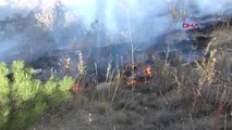 Sivas'ta Yangın Ormana Sıçramadan Söndürüldü