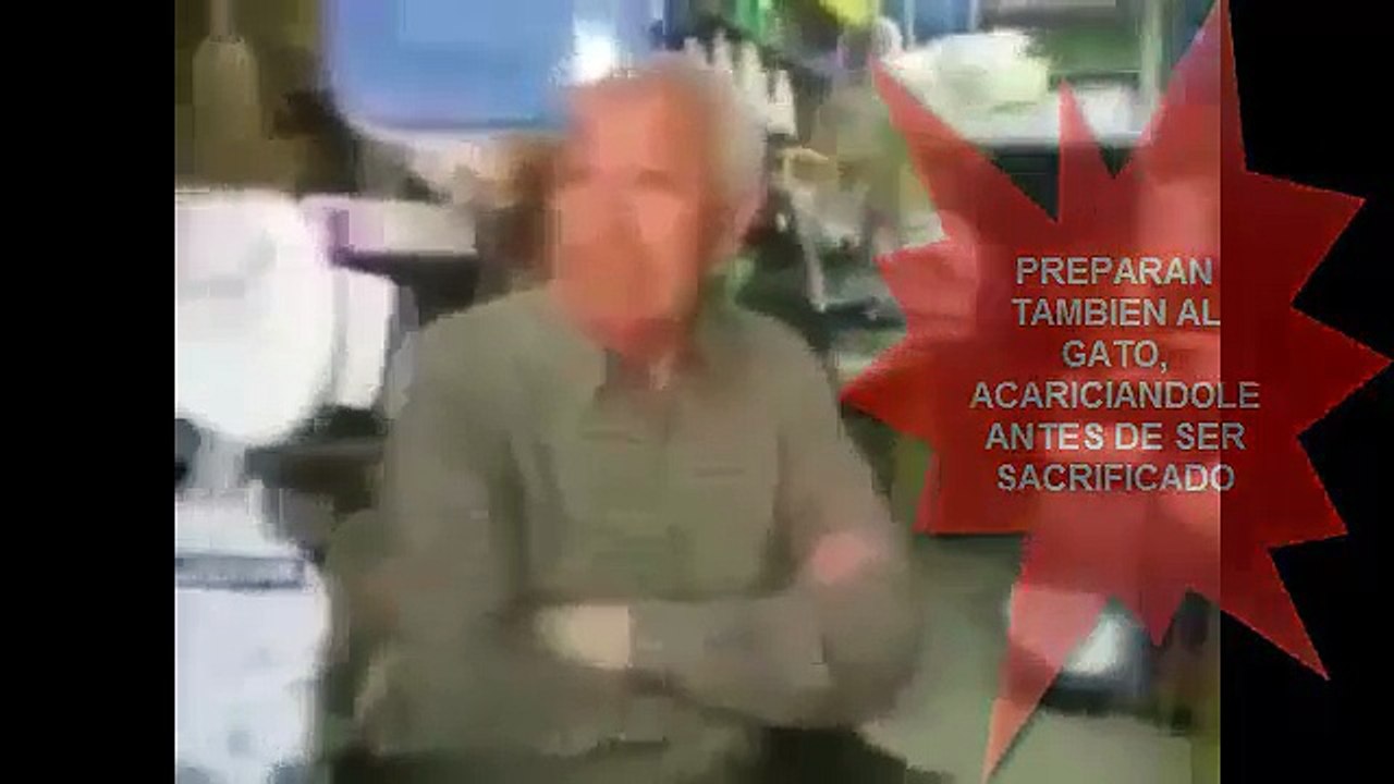 NTv-51 ciudadanos Colombianos rescatados de chile