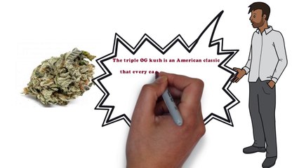 100 OG Kush