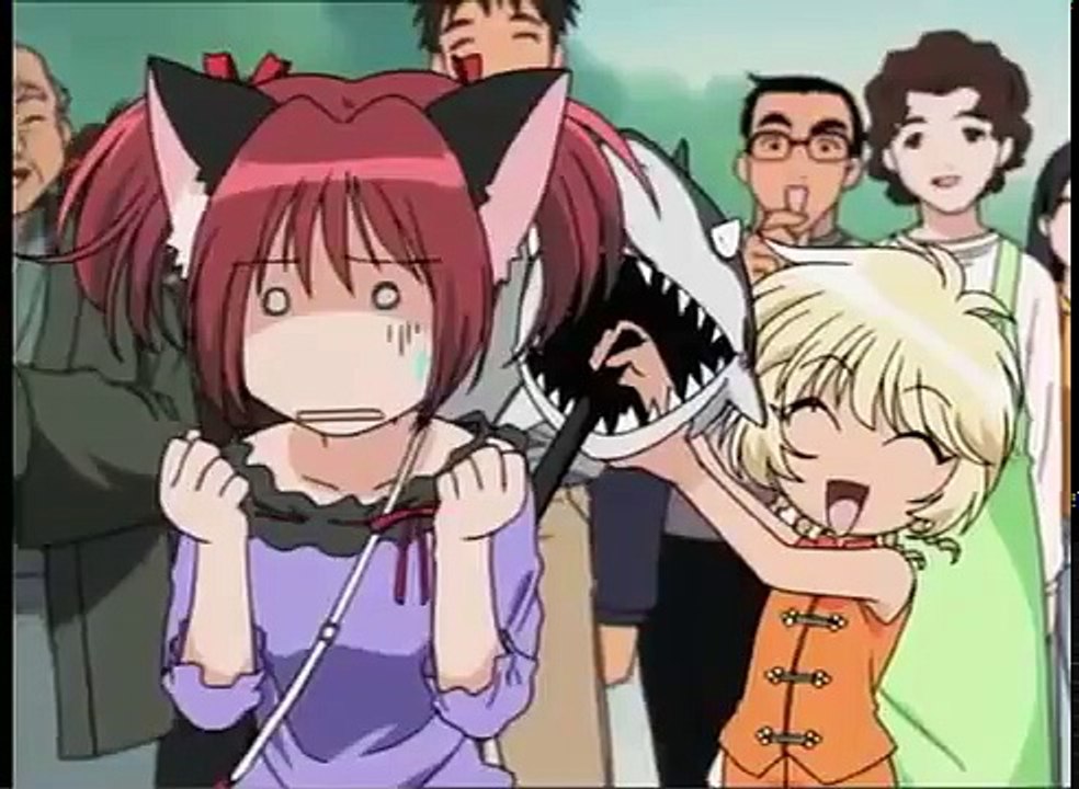 Mew mew power E 8 vf