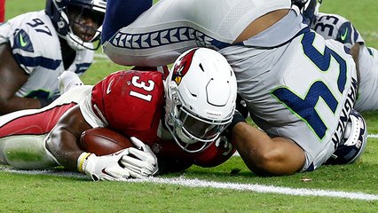David Johnson punches in a TD to put the Cardinals in the lead