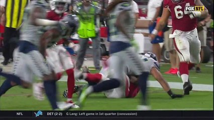 David Johnson picks up 30 yards on screen pass