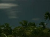 Time-lapse; clouds, palms and North Star