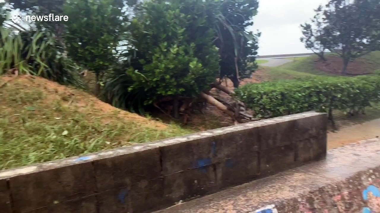 Dozens injured as Typhoon Trami batters southern and western Japan