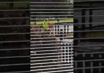 Man Carries Out Futile Task of Blowing Leaves During Storm Ali