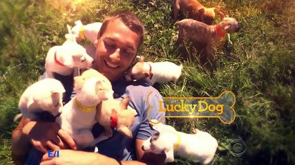 Lucky Dog S06E01 Ginger