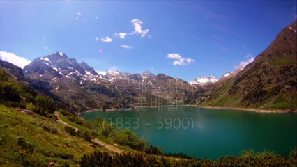 개업화분종류 개업화분추천 59꽃배달 ☎ (1833-5900)