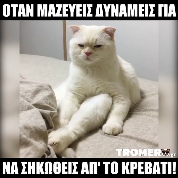 Μετά από ξενύχτι... ⏰