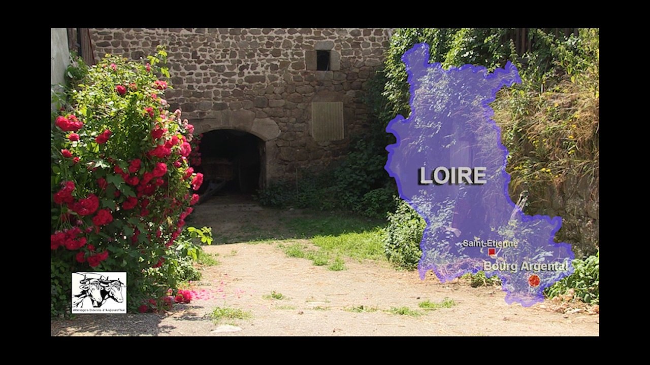Fauchage avec une paire de bovins chez Michel et Maryse Berne, Bourg Argental (42)