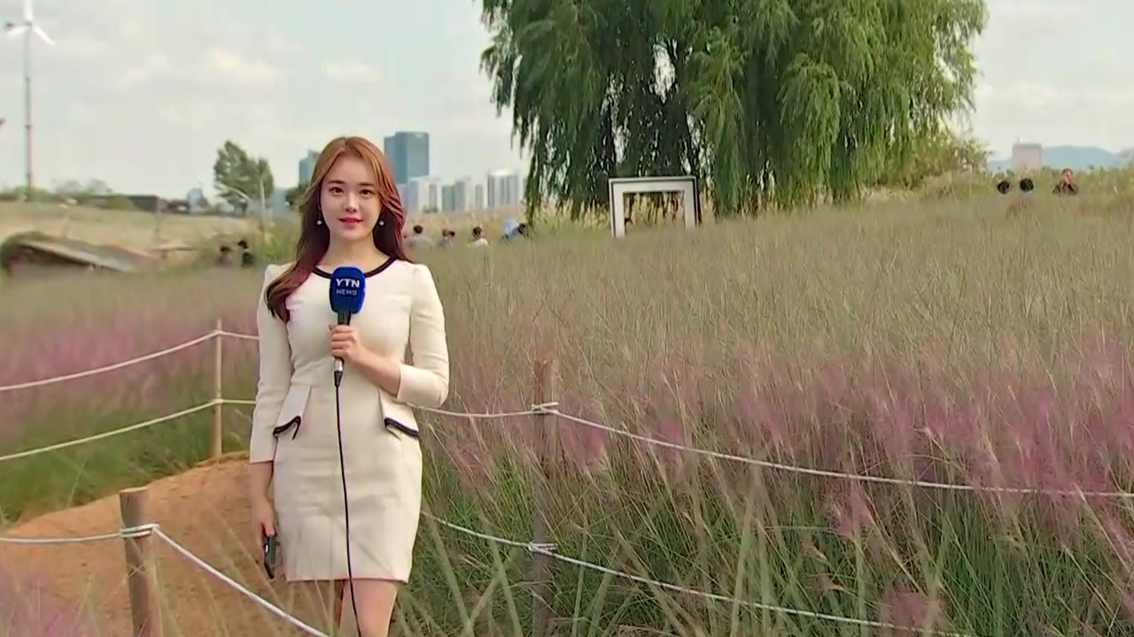 [날씨] 찬 바람 불며 서늘...내일 쾌청한 가을 / YTN