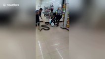 12ft-long python terrifies supermarket staff