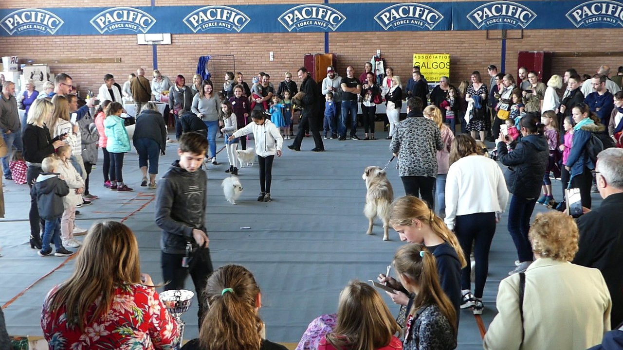 La journée des Animaux de Compagnie 7