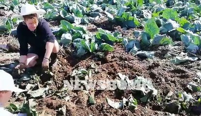 Οδοιπορικό του Newsbomb.gr στην Αργολίδα