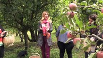 Tropicana 'Bahçe Okulları' projesiyle Türk çiftçisini destekliyor - AMASYA