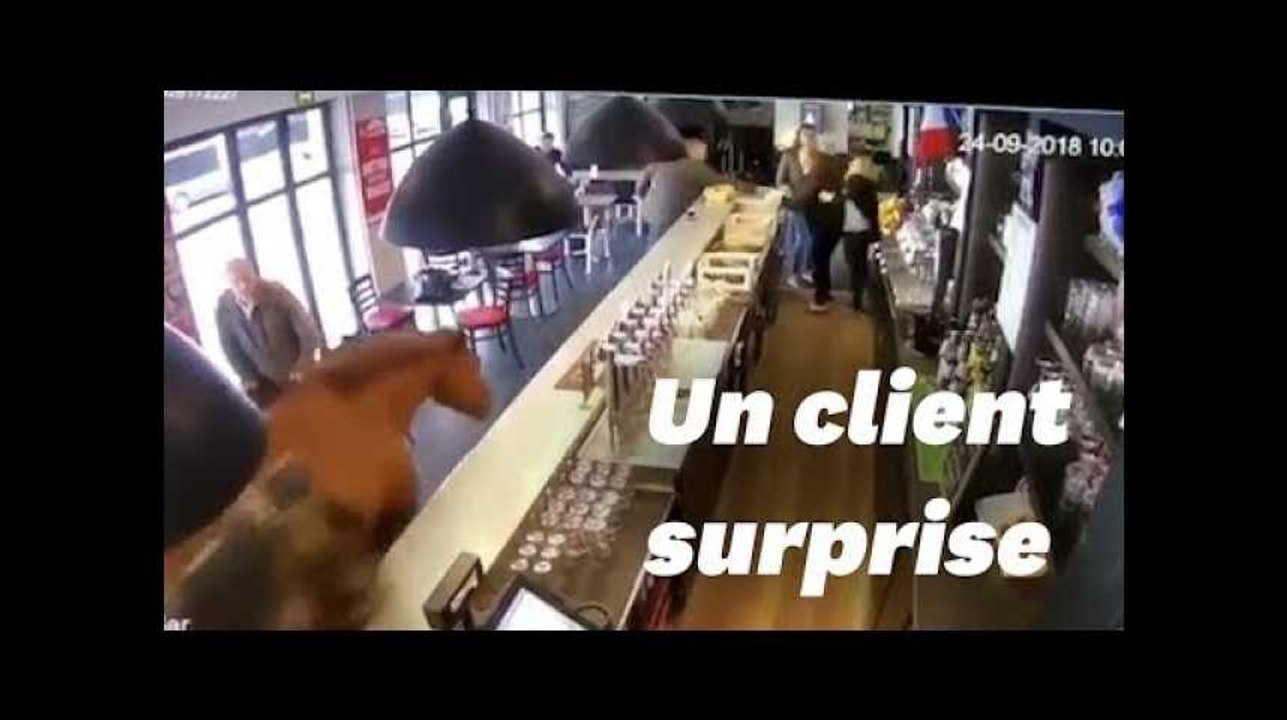 Un cheval entre dans un PMU à Chantilly et sème...