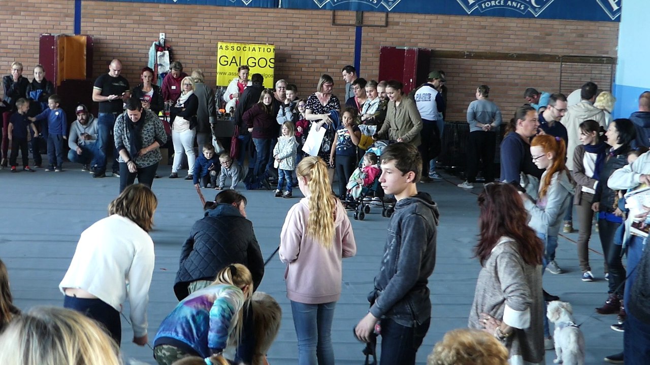 La journée des Animaux de Compagnie 6